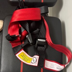 Kids Safety Harness with Red and Black Straps